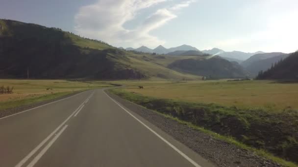 Schöner chuysky trakt im altai-gebirge. — Stockvideo