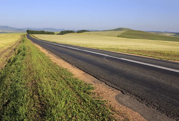 Beautiful road among farm fields. — Stock Photo, Image