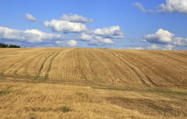 Sonra hasat İrlandalı kırsal güzel alanlar. — Stok fotoğraf