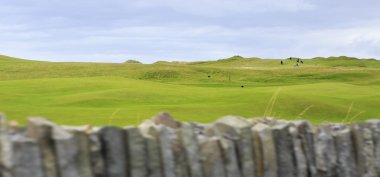 Güzel yeşil golf sahası kırsal İrlanda.