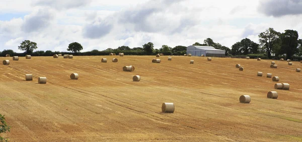 Beau champ avec des balles de paille dans la campagne irlandaise — Photo