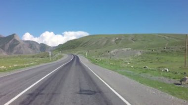 Yola yakın otlatma keçi sürüsü.