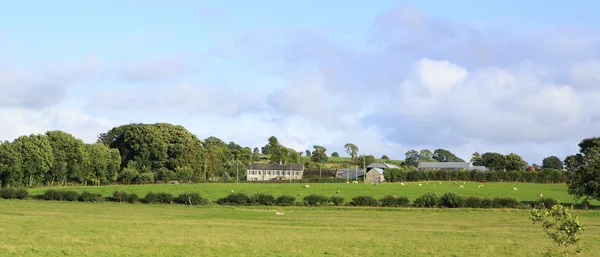 Rural farmhouses among farmland. — Stock Photo, Image