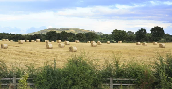 Beau champ avec des balles de paille dans la campagne irlandaise — Photo