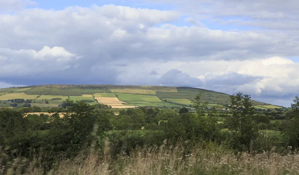 Hermosas tierras de cultivo de verano en el campo de Irlanda —  Fotos de Stock