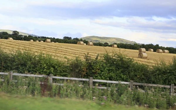 Beautiful field with straw bales in irish countryside — Stock Photo, Image