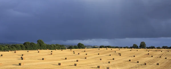 Hermoso campo con fardos de paja y nubes de tormenta — Foto de Stock