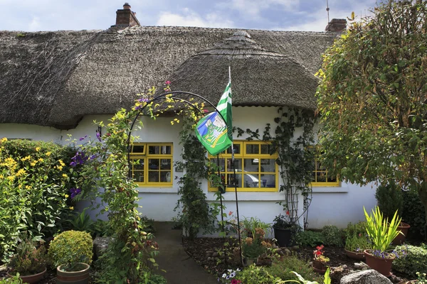 Houses with thatched roof of first half nineteenth century in Adare — Stock Photo, Image