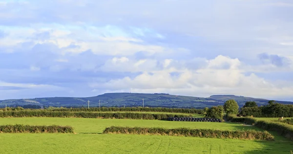 Bellissimo campo verde sullo sfondo delle montagne Kerry — Foto Stock