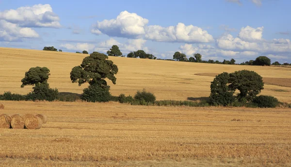 Schöne Felder nach der Ernte in irischer Landschaft. — Stockfoto