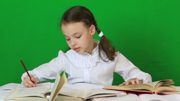 Niña diligentemente haciendo su tarea . — Vídeo de stock