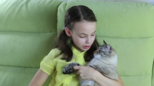 Little girl communicates with her beloved cat. — Stock Video