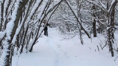 Kış Park'ta güzel bir mutlu kız neşeli adamı yakalar.