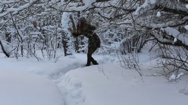 Vackra skrämda flickan flyr från en imaginär skurk i snöiga skogen. — Stockvideo