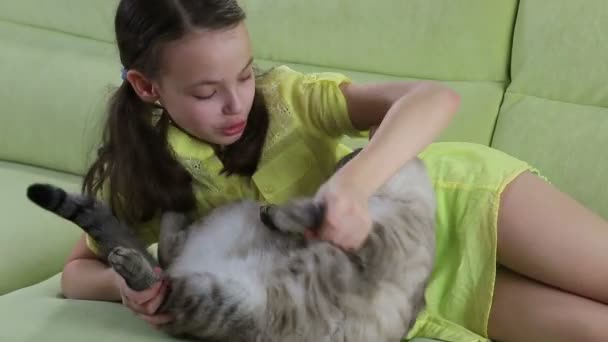 Little girl communicates with her beloved cat. — Stock Video