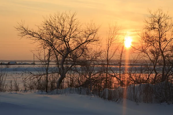 设置流通过树的树枝在冬天的太阳的光芒. — 图库照片