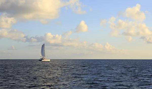 Sea yacht in the Indian Ocean. — Stock Photo, Image