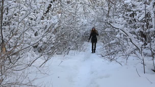 Menina feliz bonita andando no parque de inverno e admirar os galhos de árvores cobertas de neve . — Vídeo de Stock