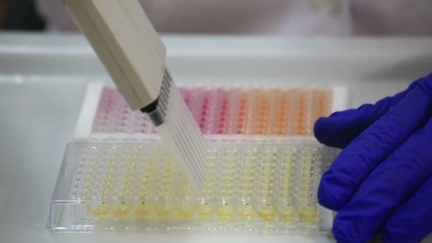 Sélection des anticorps ELISA . — Video