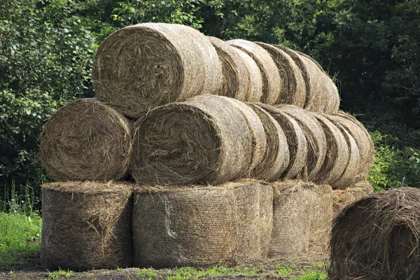 Schöne Heuhaufen auf grünem Rasen in der Region Altai — Stockfoto