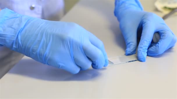 Voorbereiding van een uitstrijkje. Toepassing van een druppel bloed op een glasplaatje en de erosie van de cover-glas. — Stockvideo