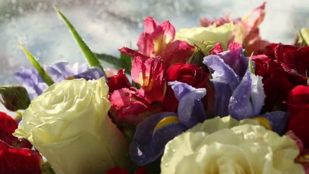 Wassertropfen fallen auf schönen Strauß von Rosen, Iris und Alstroemeria. — Stockvideo