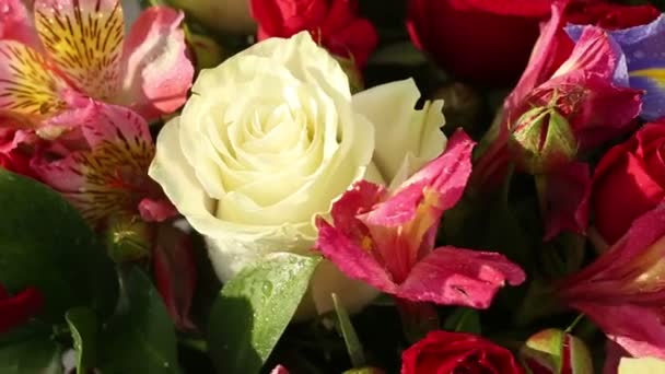 schöne Bouquet-Rosen, Iris und Alstroemeria rotiert.