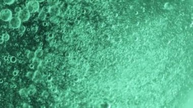 sıvı kabarcıkları ile