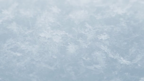 Neige. Macro. Fond d'hiver  