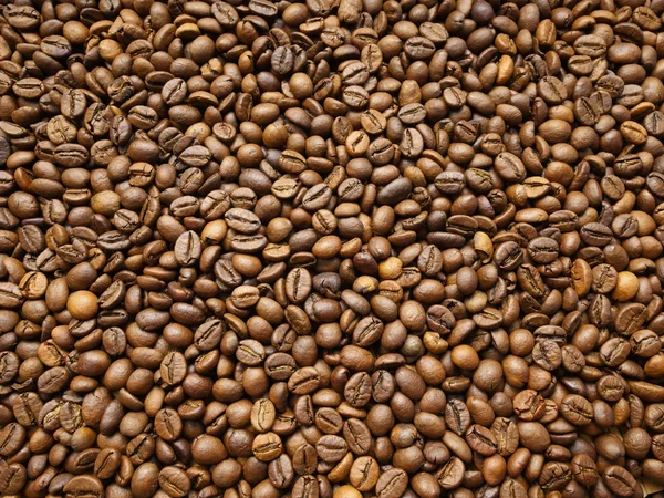 Grains de café fond — Photo