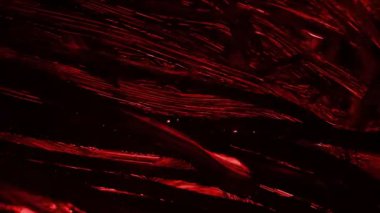 El boyalı. Döngü.