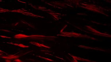 El boyalı. Döngü.