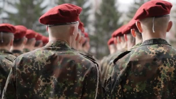Στήλη των στρατιωτών. Στρατιωτική παρέλαση. — Αρχείο Βίντεο