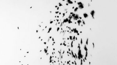 Mürekkep boya arka plan emer.