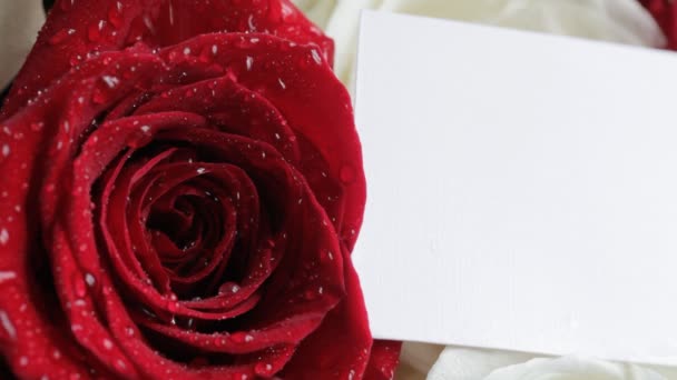 Card on roses. Close up. — Stock Video