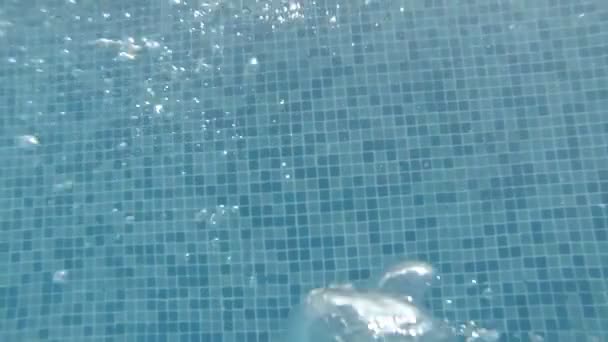 Bulles sous l'eau — Video