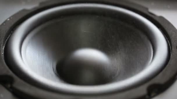 Thumping Bass audio speaker — Stock Video