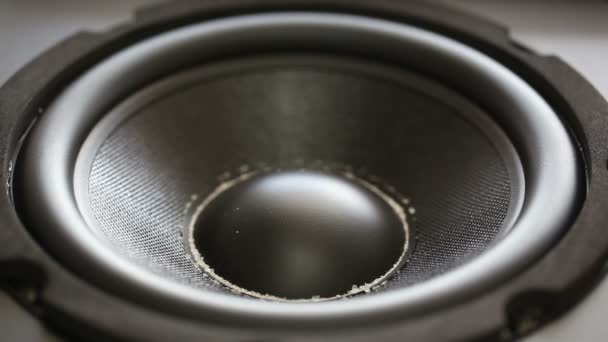 Haut-parleur audio basse battant 