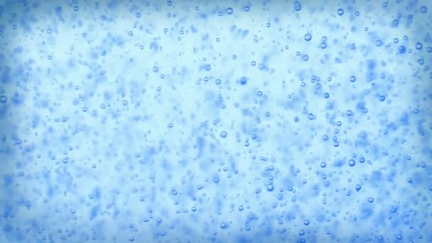 Bubbles background — Stock Video