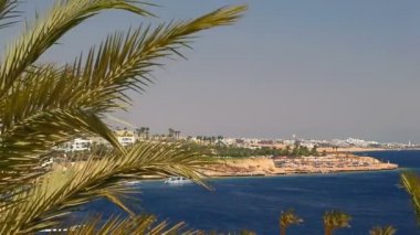 Kızıldeniz kıyısında