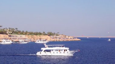 Kızıldeniz kıyısında