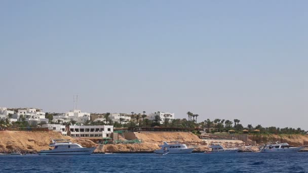 Côte de la mer Rouge 
