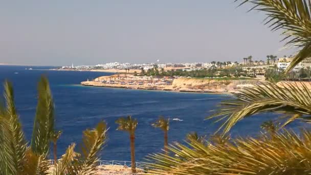 Côte de la mer Rouge 