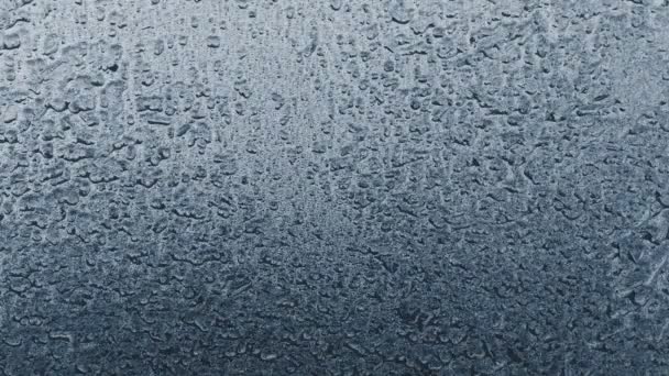 Croissance d'un cristal de sel 