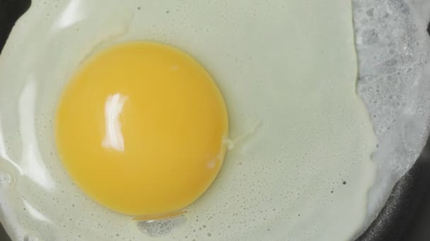 Жареное яйцо в кастрюле. — стоковое видео