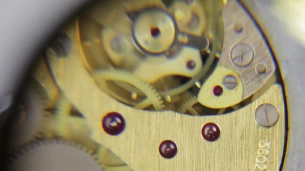 Vintage Watch Movement — Stock Video