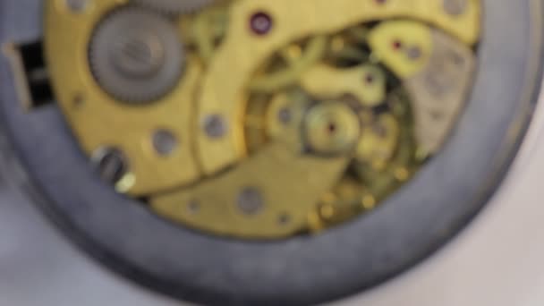 時計用歯車 — ストック動画