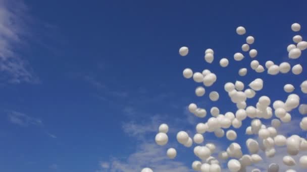 Luftballons am Himmel — Stockvideo