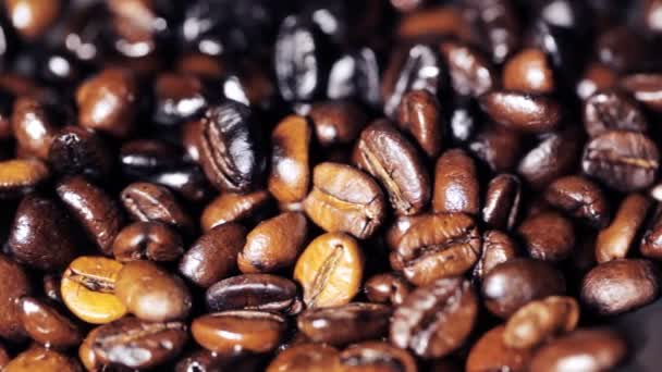 Aroma de granos de café — Vídeos de Stock