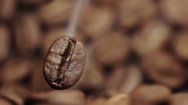 Grains de café — Video